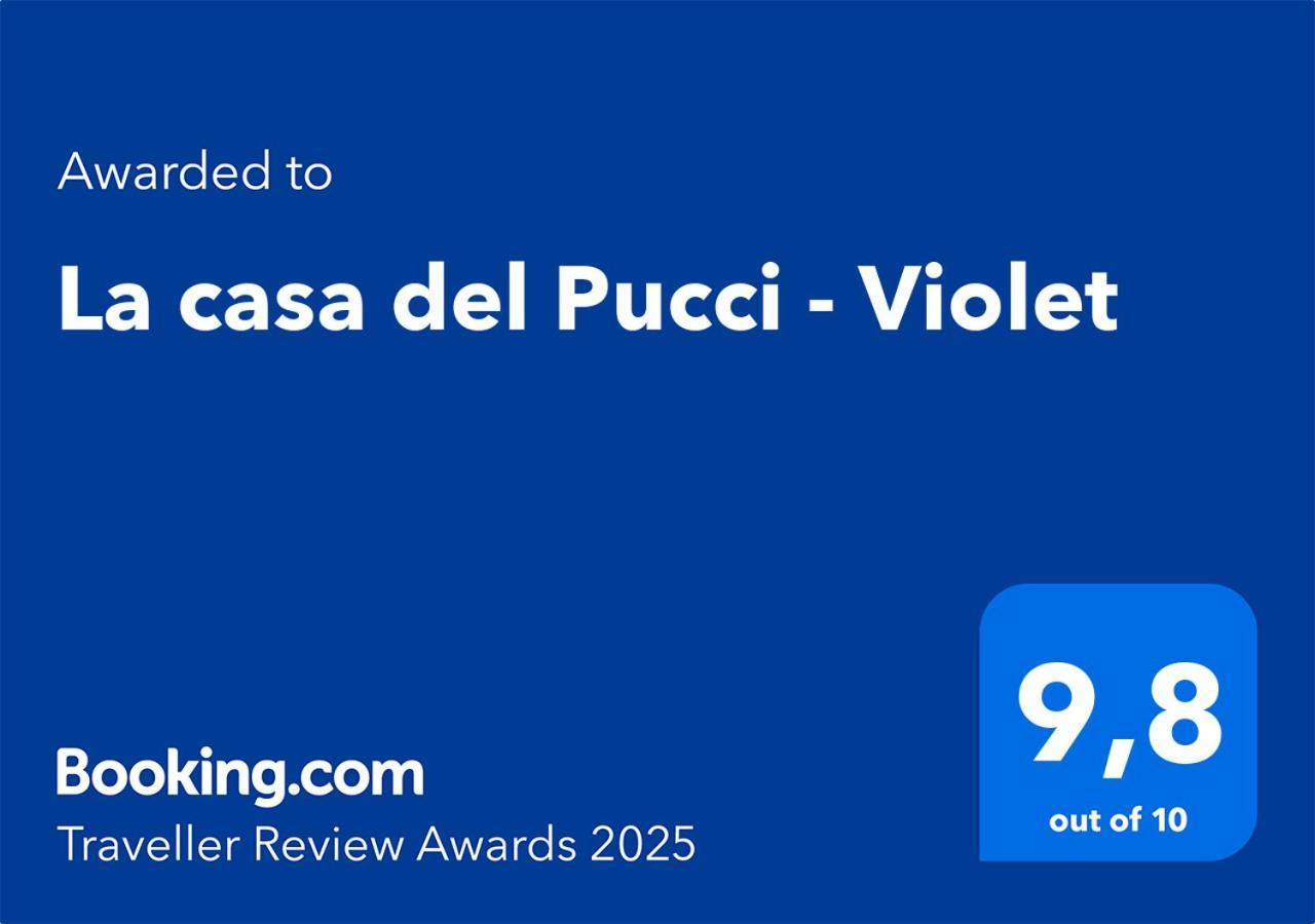 شقة Violet - La Casa Del Pucci لوكا المظهر الخارجي الصورة